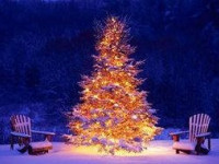 Отели в Сочи на Новогодние праздники 2016 цены повышать не будут