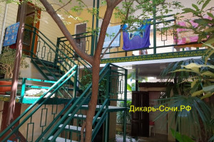 Гостевой дом «У Галины» Адлер, ул. Крупской, 24 Гостевой дом «У Галины» Адлер, ул. Крупской, 24