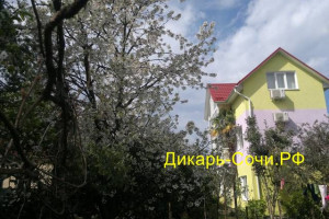 Адлер гостевой дом «Фиалка» по ул. Лескова, 30 Адлер гостевой дом «Фиалка» по ул. Лескова, 30