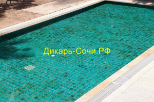 Цандрипш частный сектор в Абхазии по ул. Приморская, 16 «В» Цандрипш частный сектор в Абхазии по ул. Приморская, 16 «В»